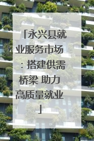 永兴县就业服务市场：搭建供需桥梁 助力高质量就业