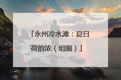 永州冷水滩：夏日荷韵浓（组图）