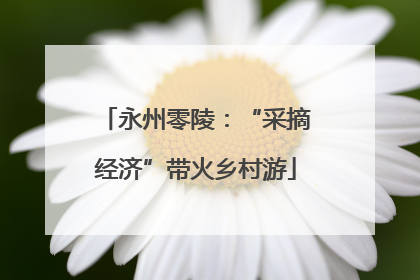 永州零陵：“采摘经济”带火乡村游