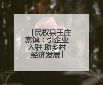 民权县王庄寨镇：引企业入驻 助乡村经济发展