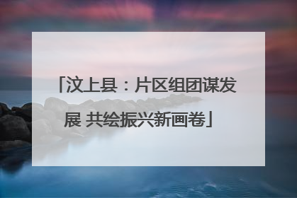 汶上县：片区组团谋发展 共绘振兴新画卷