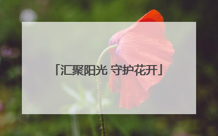 汇聚阳光 守护花开