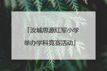 汝城思源红军小学举办学科竞赛活动