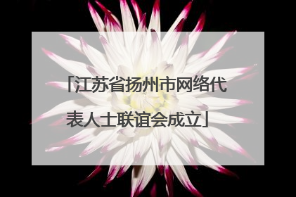 江苏省扬州市网络代表人士联谊会成立
