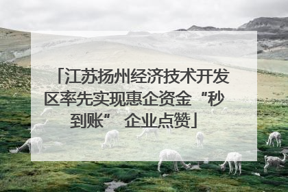江苏扬州经济技术开发区率先实现惠企资金“秒到账” 企业点赞