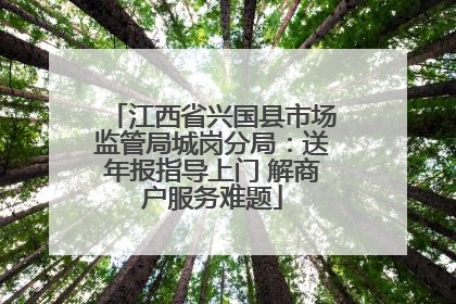 江西省兴国县市场监管局城岗分局：送年报指导上门 解商户服务难题