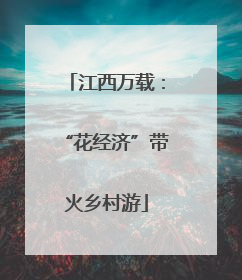 江西万载：“花经济”带火乡村游