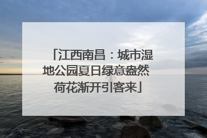 江西南昌：城市湿地公园夏日绿意盎然 荷花渐开引客来