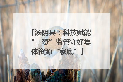 汤阴县：科技赋能“三资”监管守好集体资源“家底”
