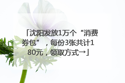 沈阳发放1万个“消费券包”，每份3张共计180元，领取方式→