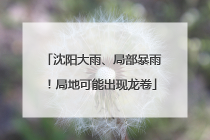 沈阳大雨、局部暴雨！局地可能出现龙卷