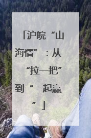 沪皖“山海情”：从“拉一把”到“一起赢”