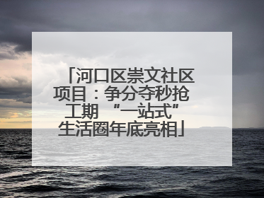 河口区崇文社区项目：争分夺秒抢工期 “一站式”生活圈年底亮相
