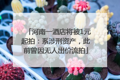 河南一酒店将被1元起拍：系涉刑资产，此前曾因无人出价流拍