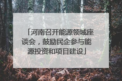河南召开能源领域座谈会，鼓励民企参与能源投资和项目建设