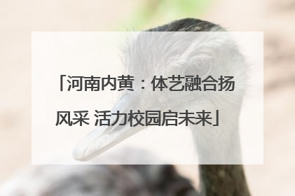河南内黄：体艺融合扬风采 活力校园启未来