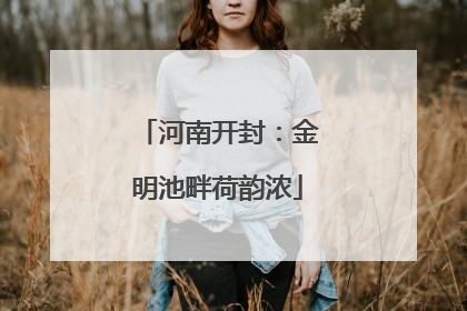 河南开封：金明池畔荷韵浓