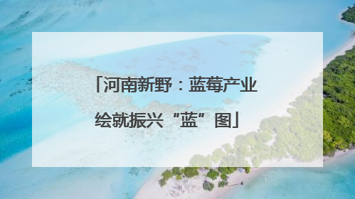 河南新野：蓝莓产业绘就振兴“蓝”图