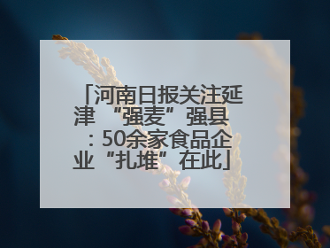 河南日报关注延津 “强麦”强县：50余家食品企业“扎堆”在此