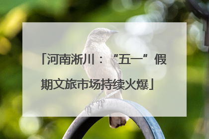 河南淅川：“五一”假期文旅市场持续火爆