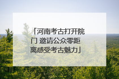 河南考古打开院门 邀请公众零距离感受考古魅力