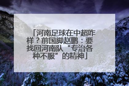 河南足球在中超咋样？前国脚赵鹏：要找回河南队“专治各种不服”的精神