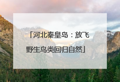 河北秦皇岛：放飞野生鸟类回归自然