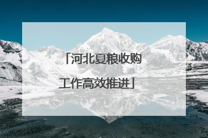 河北夏粮收购工作高效推进