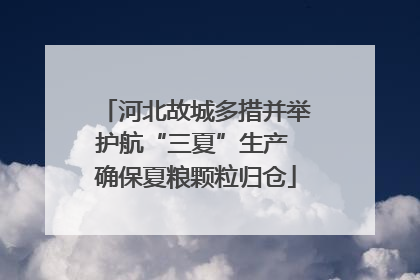 河北故城多措并举护航“三夏”生产 确保夏粮颗粒归仓