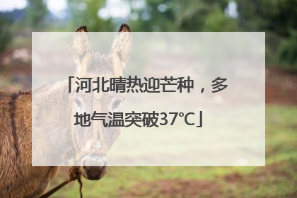 河北晴热迎芒种，多地气温突破37℃