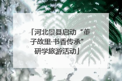 河北景县启动“董子故里·书香传承”研学旅游活动