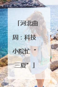 河北曲周：科技小院忙“三夏”