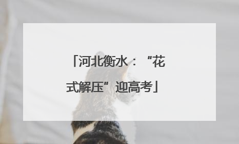河北衡水：“花式解压”迎高考