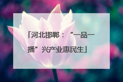 河北邯郸：“一品一播”兴产业惠民生