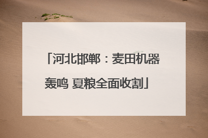 河北邯郸：麦田机器轰鸣 夏粮全面收割