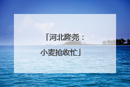 河北隆尧：小麦抢收忙