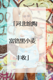 河北馆陶富铬黑小麦丰收