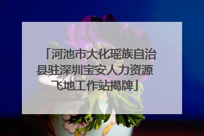 河池市大化瑶族自治县驻深圳宝安人力资源飞地工作站揭牌