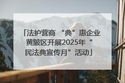法护营商 “典”惠企业 黄陂区开展2025年“民法典宣传月”活动