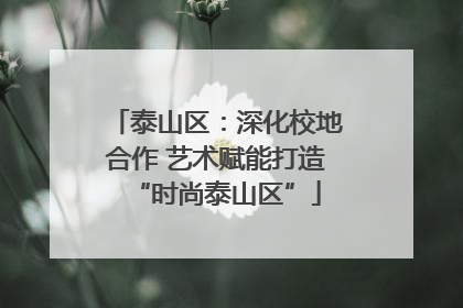 泰山区：深化校地合作 艺术赋能打造“时尚泰山区”