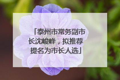 泰州市常务副市长沈峻峰，拟推荐提名为市长人选