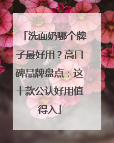 洗面奶哪个牌子最好用？高口碑品牌盘点：这十款公认好用值得入