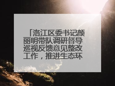 洛江区委书记颜丽明带队调研督导巡视反馈意见整改工作，推进生态环境保护建设