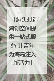 洞头打造海创空间提供一站式服务 让青年为海岛注入新活力