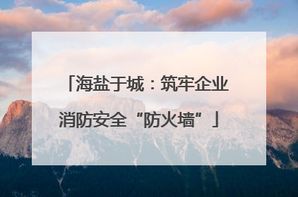 海盐于城：筑牢企业消防安全“防火墙”