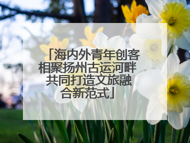 海内外青年创客相聚扬州古运河畔 共同打造文旅融合新范式