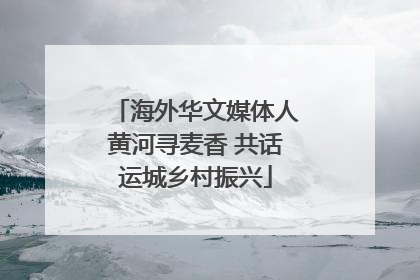 海外华文媒体人黄河寻麦香 共话运城乡村振兴