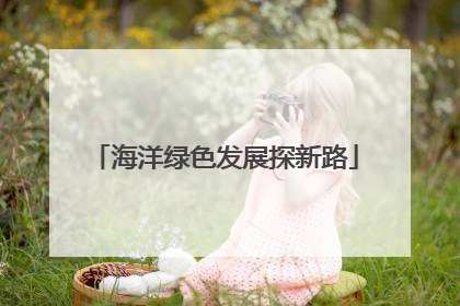 海洋绿色发展探新路
