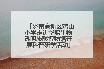 济南高新区鸡山小学走进华熙生物透明质酸博物馆开展科普研学活动