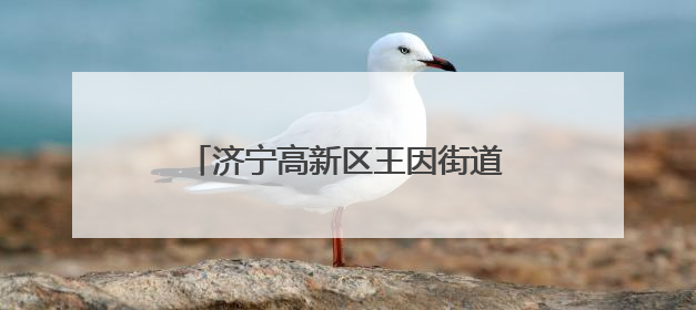 济宁高新区王因街道筑牢遗址“保护墙”